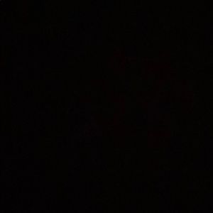 Meet your Posher, Dominic